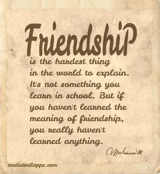 25 Best Friendship Quotes  OhTopTen