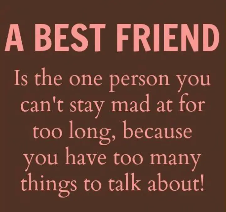 25 Best Friendship Quotes OhTopTen