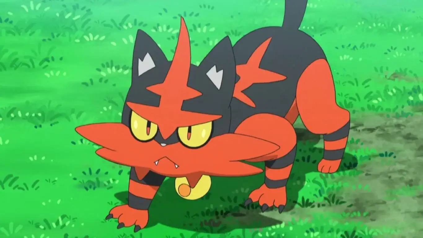 Torracat Cat Pokemon