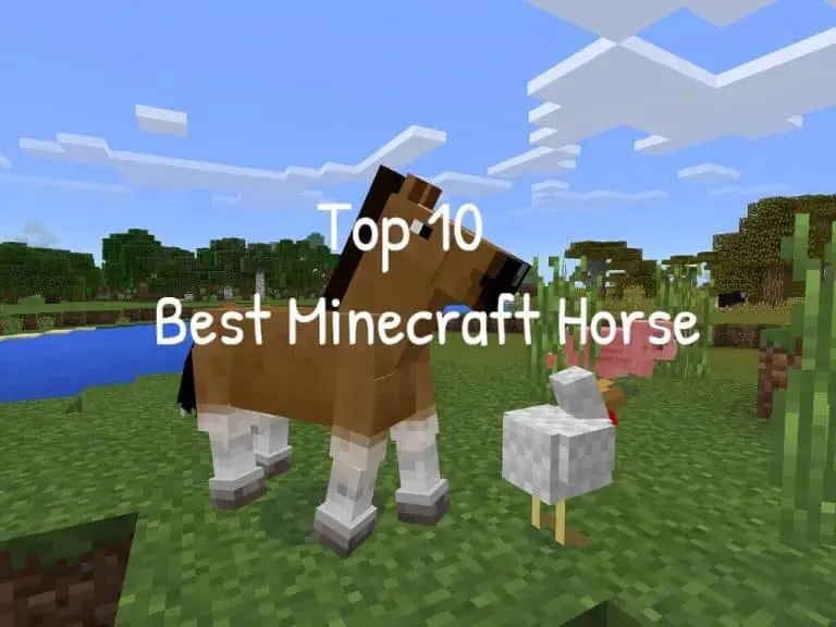 Top 10 Best Minecraft horse
